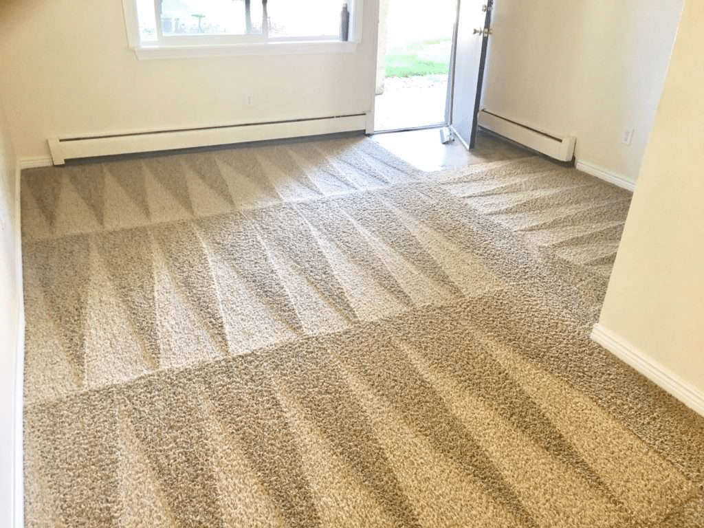 Teppichbodenreinigung mit Sprühextraktion hochflor Teppich reinigen
