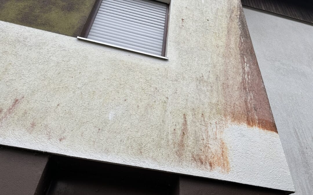 Fassadenreinigung – Bekämpfung der Rotalge