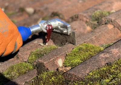 Dachreinigung – Firma Wertheimer