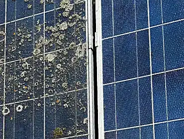 Veys Gebäudereinigung – Flechten auf einer PV-Anlage mit strukturiertem Glas