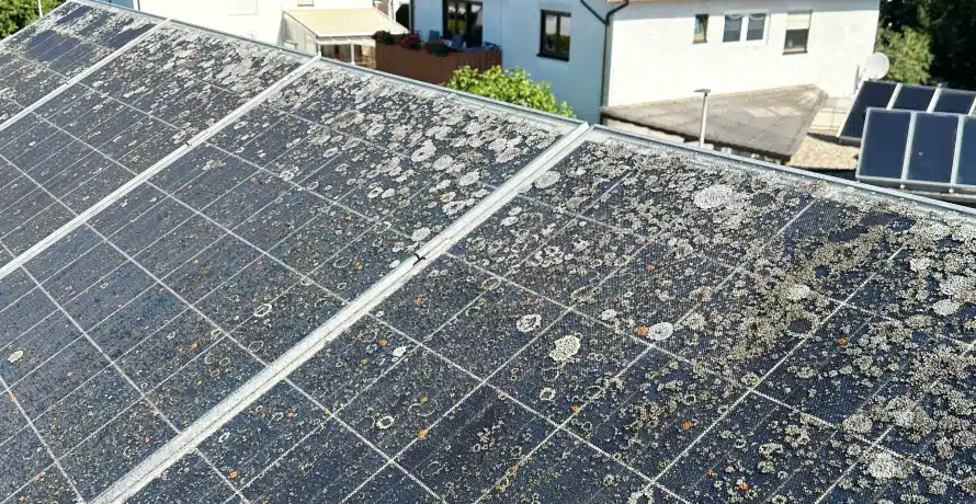 Photovoltaikreinigung vorher