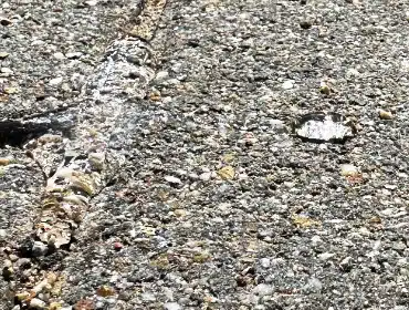 Veys Gebäudereinigung – Erst Steinreinigung, dann Steinimprägnierung. Wasser bleibt auf der Oberfläche.